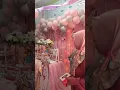 Download Lagu mabruk Alfa mabruk #videoshort #shotsviral #ulangtahunanak