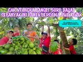 Download Lagu NGAK NYANGKA BANGET 50 RIBU DAPAT PANENAN SEGINI BANYAKNYA ALHAMDULILLAH