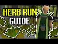 Ultimate Herb Farming Run Guide - Reclined Daily Method OSRS 2025