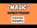 What is Magic Number Magic Number program Magic Number