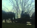 Download Lagu Zeljko Bebek - Oprosti mi sto te volim.flv
