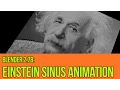Blender 2 78 Einstein sinus animation - python scripted animation tec-demo