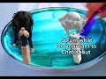 Roblox slime storytime LGBTQ lesbian