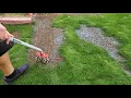 Reseeding Some Bare Spots - DIY Lawn Guy