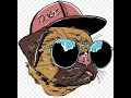 isanyoneup com