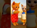 Dudi dudi dum dum 🍼😻#shorts #shortsfeed #dudidudidam #catshorts