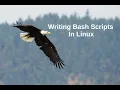 Writing Bash Scripts In Linux