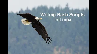 Writing Bash Scripts In Linux