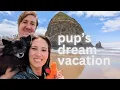 Taking our adventure pup to Cannon Beach Oregon