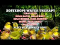 Download Lagu Terapi air pleci macet bunyi SEKETIKA gacor dan bukpar, 99% AMPUH coba saja ..!!