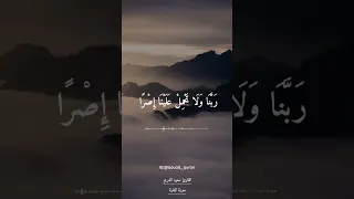 آمن الرسول بما أنزل إليه من ربه والمؤمنون تلاوة خاشعة بصوت الشيخ سعود الشريم 