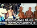 SNY PRISON GANG NUMBERS INCREASE WHAT DOES THAT MEAN FOR HOODS ON THE STREETS