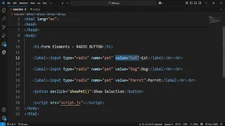 JavaScript Fundamentals Lesson 16 Radio Button