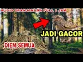 Download Lagu SUARA MASTERAN BRANJANGAN JAWA - AUDIO TERAPI SUARA BRANJANGAN MALES BUNYI 1 JAM