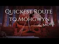 Quickest Route to Mohgwyn Palace More Elden Ring Tips