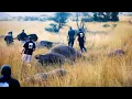Download Lagu Mozambique: het meest ambitieuze rewildingproject ter wereld