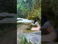 Download Lagu Gua Ini Meniupkan Angin Kencang, Tapi Kenapa Dalamnya Justru Tenang? #shortvideo