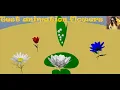 Test animation rig flowers