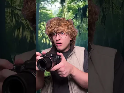 How Big Is That Crocodile? π¨