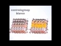 Download Lagu Les 3- 7 2 Deel 2: Natuurwetenschappelijk onderzoek