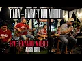 Download Lagu Harvey Malaiholo - DARA ( cover) Alaska band live in HayaruCafe | oldies Indonesia