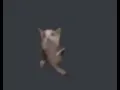 Download Lagu The living catstone 10 hours