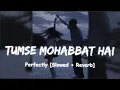 Download Lagu Tumse Mohabbat Hai | [ Slowed+Reverb ] | JalRaj | #TumseMohabbatHai #slowed #lofi #slowedandreverb 🖤