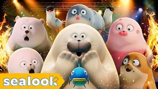 The Most Unexpected Moments | Watch till the end | SEALOOK Official