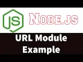 How to get protocol hostname port id search parameter pathname from URL in Node js - Part 9