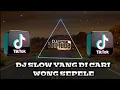 Download Lagu DJ SLOW YANG KALIAN CARI WONG SEPELE VIRAL TIKTOK