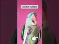 Download Lagu MUSTAFA MUSTAFA | Meme | #memes #trending #mustafa