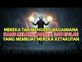 Download Lagu MEREKA KAGUMI PADAMU DAN BERTANYA-TANYA BAGAIMANA KAMU MENYELESAIKAN ITU