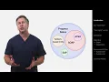 SOAP Notes and Presentations