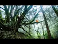 Download Lagu 10 MINUTES- KRISHNA FLUTE MEDITATION MUSIC. MEDITATION \u0026 RELAXATION MUSIC.