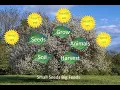 Download Lagu About small seeds big feeds self learning course