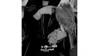      لاتشاورني على وقت اللقى      والله إن ودي أشوفك كل ساعة     دندنها