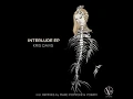 Premiere: Kris Davis - Interlude (Original mix) [Crossfrontier Audio]