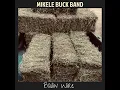Bailin Wire - Mikele Buck Band