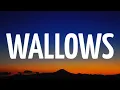 Download Lagu Tommy Docherty - Wallows (Lyrics) [From The Next 365 Days]