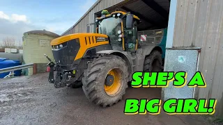 A SPLIT TANK.. AND STEVE’S FIRST VIDEO?