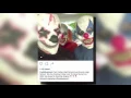 Juvenile arrested after clown threat on Instagram targets schools in Southwest Virginia