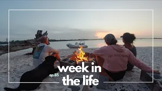 WEEK IN THE LIFE//Cruiser Lifestyle & Boat Projects-Episode 85