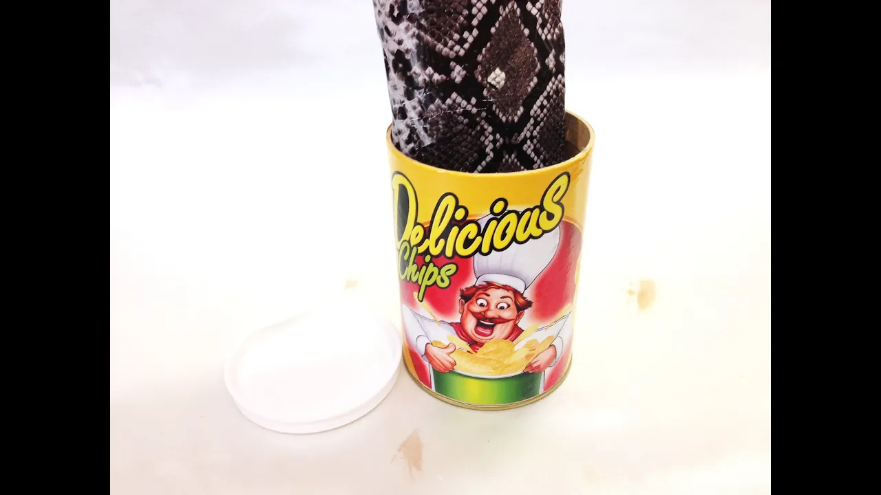 【驚愕！】ドッキリで絶対驚くいたずらグッズ