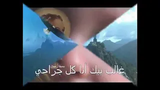 فارد زي النسر جناحي طاير فوق المرتفعات غالب بيك أنا كل جراحي أصل الوعد ماليني ثبات دندنها