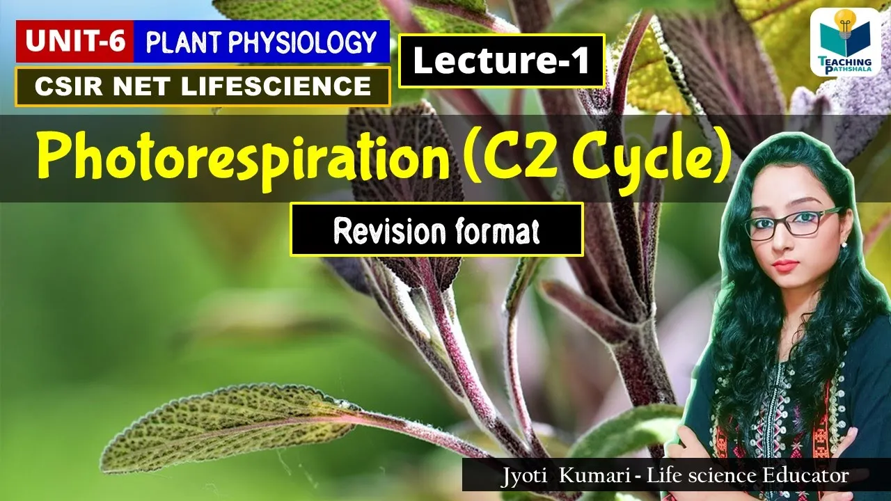 C2 CYCLE BASICS (PART-1) | PHOTORESPIRATION | |CSIR NET| REVISION