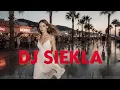 Lagu Dj siekla-Biały Miś (EDM)