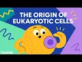 What Are Eukaryotic Cells Endosymbiosis and Evolution Explained