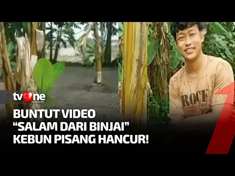 Tiru Video Salam dari Binjai , 50 Pohon Pisang Milik Warga Tumbang