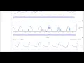 Ensentic Dashboard