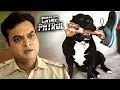 Lagu खूनी प्लान: सबूत मिटाने के लिए लाश कुत्ते को खिला दी | Crime Patrol Episode | Real Incident Hindi